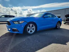 1FA6P8AM7H5316277 2017 FORD MUSTANG