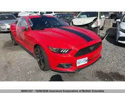 1FA6P8AM7H5318515 2017 FORD MUSTANG