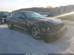 1FA6P8AM7H5319129 2017 FORD MUSTANG