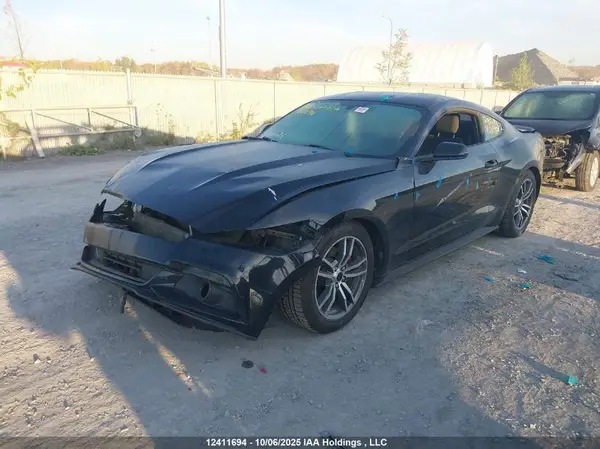 1FA6P8AM7H5319129 2017 FORD MUSTANG - Image 2