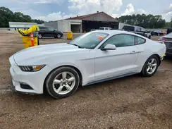1FA6P8AM7H5342880 2017 FORD MUSTANG