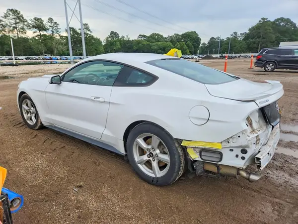 1FA6P8AM7H5342880 2017 FORD MUSTANG - Image 2