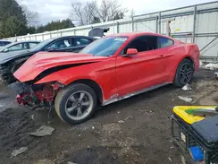 1FA6P8AM7H5346380 2017 FORD MUSTANG