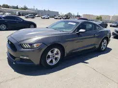 1FA6P8AM7H5346590 2017 FORD MUSTANG