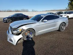 1FA6P8AM8G5233150 2016 FORD MUSTANG