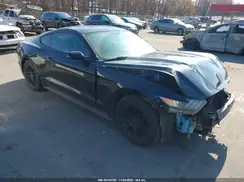 1FA6P8AM8G5265581 2016 FORD MUSTANG