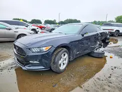 1FA6P8AM8G5294319 2016 FORD MUSTANG