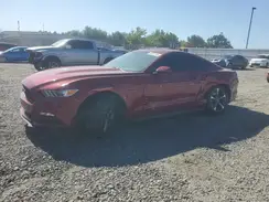 1FA6P8AM8G5310941 2016 FORD MUSTANG