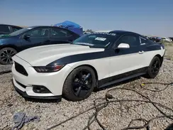 1FA6P8AM8G5337606 2016 FORD MUSTANG
