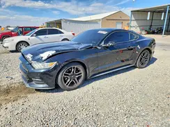 1FA6P8AM8H5202319 2017 FORD MUSTANG