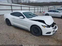 1FA6P8AM8H5228256 2017 FORD MUSTANG