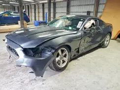 1FA6P8AM8H5237006 2017 FORD MUSTANG