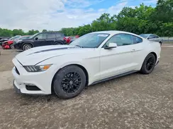1FA6P8AM8H5244568 2017 FORD MUSTANG