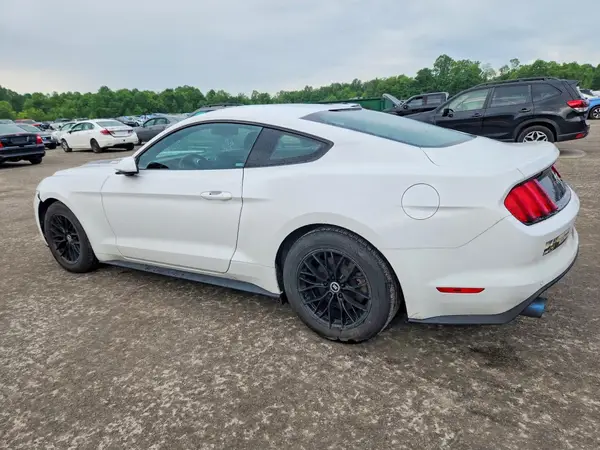 1FA6P8AM8H5244568 2017 FORD MUSTANG - Image 2