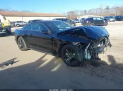 1FA6P8AM8H5249690 2017 FORD MUSTANG