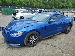 1FA6P8AM8H5275478 2017 FORD MUSTANG