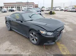 1FA6P8AM8H5303442 2017 FORD MUSTANG