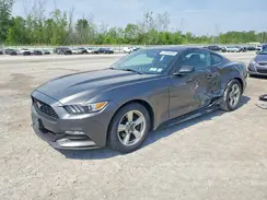 1FA6P8AM8H5304705 2017 FORD MUSTANG