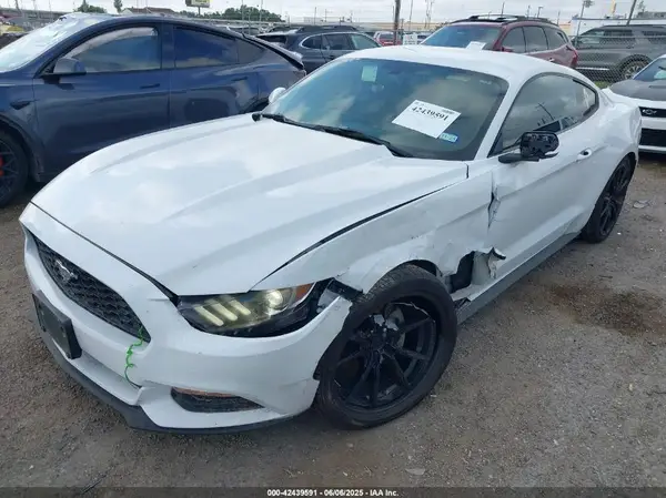 1FA6P8AM8H5306230 2017 FORD MUSTANG - Image 2