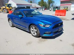 1FA6P8AM8H5311749 2017 FORD MUSTANG