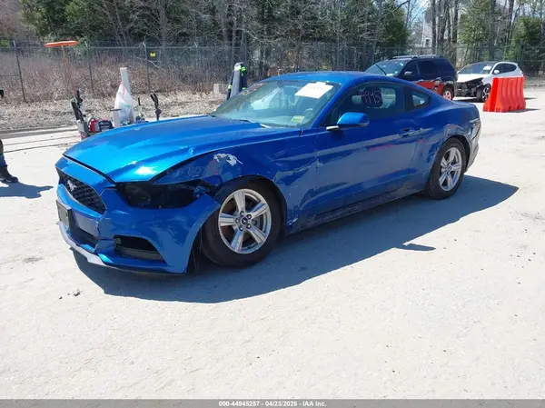 1FA6P8AM8H5311749 2017 FORD MUSTANG - Image 2