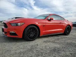 1FA6P8AM8H5317146 2017 FORD MUSTANG