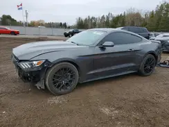 1FA6P8AM8H5318653 2017 FORD MUSTANG