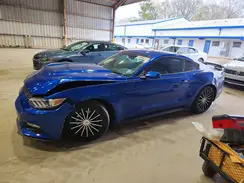 1FA6P8AM8H5339115 2017 FORD MUSTANG