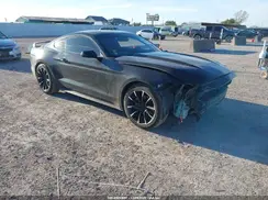 1FA6P8AM8H5346243 2017 FORD MUSTANG