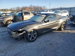 1FA6P8AM9G5241600 2016 FORD MUSTANG