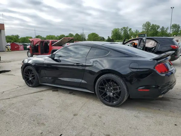 1FA6P8AM9G5271230 2016 FORD MUSTANG - Image 2