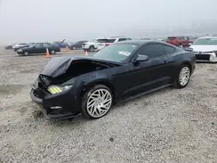1FA6P8AM9G5310978 2016 FORD MUSTANG