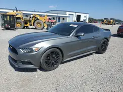 1FA6P8AM9G5331698 2016 FORD MUSTANG
