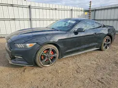 1FA6P8AM9G5333290 2016 FORD MUSTANG