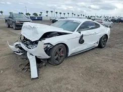 1FA6P8AM9H5202524 2017 FORD MUSTANG