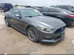 1FA6P8AM9H5213247 2017 FORD MUSTANG