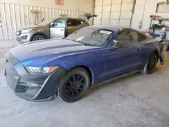 1FA6P8AM9H5235197 2017 FORD MUSTANG