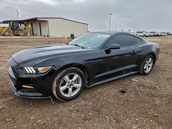 1FA6P8AM9H5236303 2017 FORD MUSTANG
