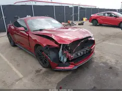 1FA6P8AM9H5256082 2017 FORD MUSTANG