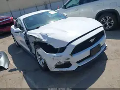 1FA6P8AM9H5259905 2017 FORD MUSTANG