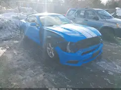 1FA6P8AM9H5262450 2017 FORD MUSTANG