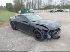 1FA6P8AM9H5262917 2017 FORD MUSTANG