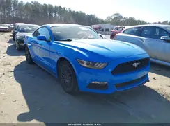 1FA6P8AM9H5263081 2017 FORD MUSTANG