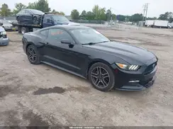 1FA6P8AM9H5290197 2017 FORD MUSTANG