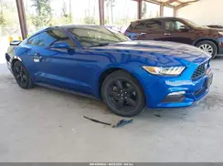 1FA6P8AM9H5294069 2017 FORD MUSTANG