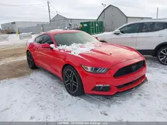 1FA6P8AM9H5299014 2017 FORD MUSTANG
