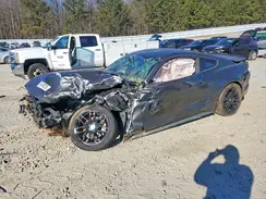 1FA6P8AM9H5304731 2017 FORD MUSTANG