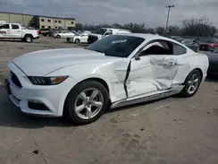 1FA6P8AM9H5335770 2017 FORD MUSTANG