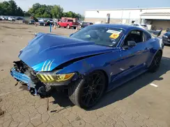 1FA6P8AM9H5342282 2017 FORD MUSTANG