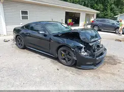 1FA6P8AM9H5343819 2017 FORD MUSTANG
